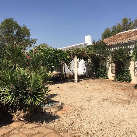 Casa Rural La Navarra Βιγιαρρομπλέδο Εξωτερικό φωτογραφία