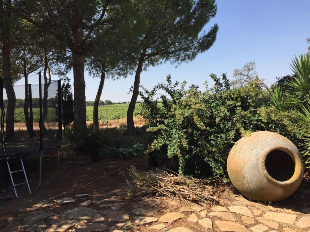 Casa Rural La Navarra Βιγιαρρομπλέδο Εξωτερικό φωτογραφία