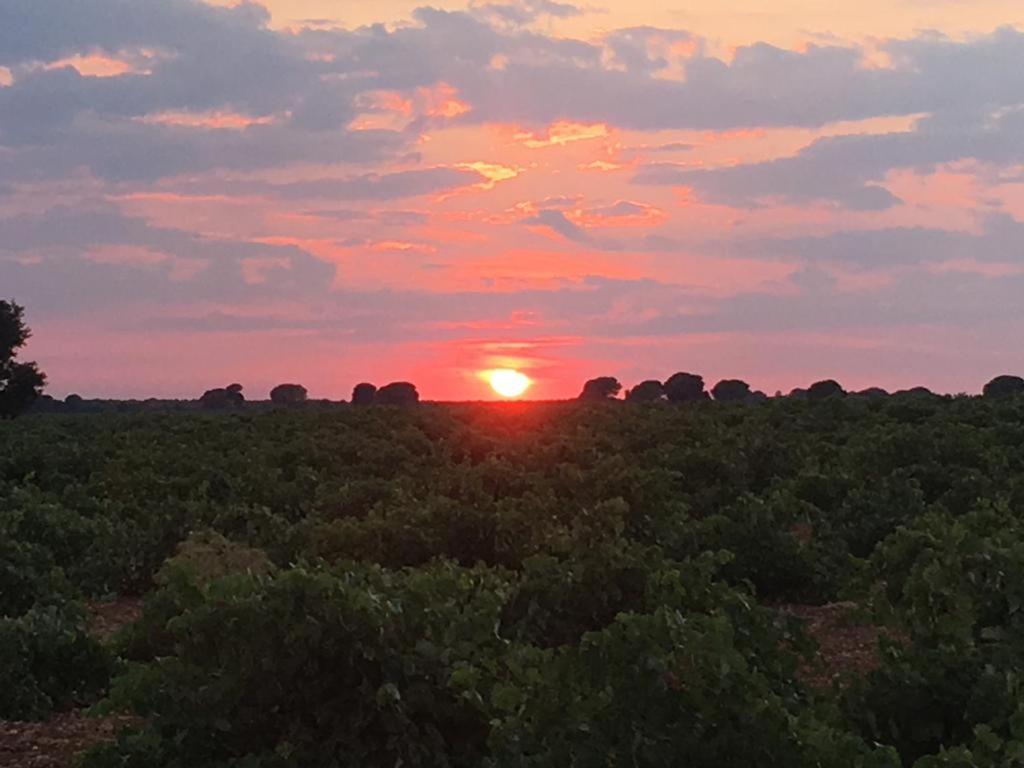 Casa Rural La Navarra Βιγιαρρομπλέδο Εξωτερικό φωτογραφία