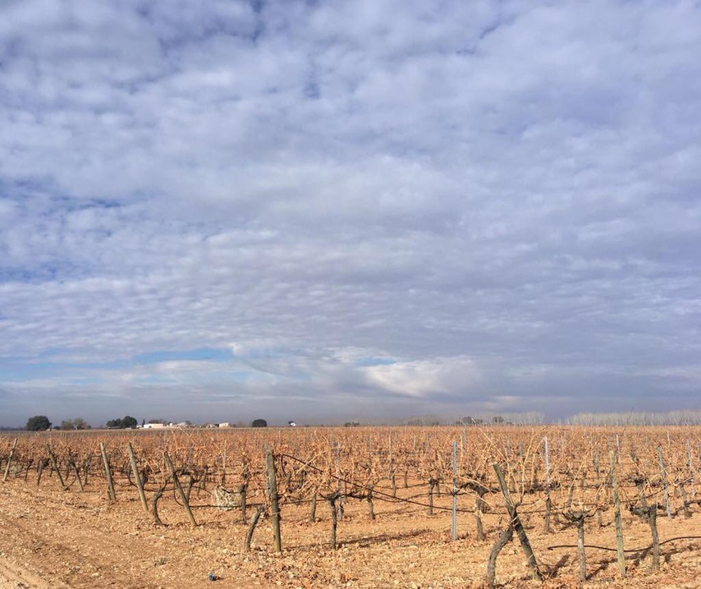 Casa Rural La Navarra Βιγιαρρομπλέδο Εξωτερικό φωτογραφία