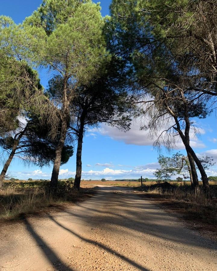 Casa Rural La Navarra Βιγιαρρομπλέδο Εξωτερικό φωτογραφία
