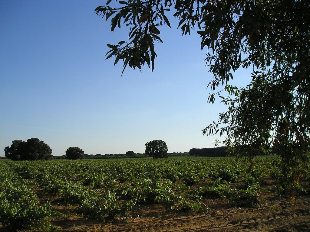 Casa Rural La Navarra Βιγιαρρομπλέδο Εξωτερικό φωτογραφία